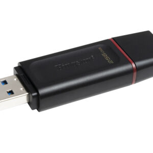 Kingston usb stick DTX256GB - Afbeelding 5
