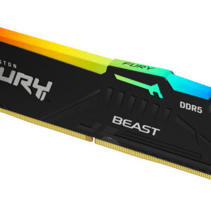 Kingston  ram geheugen ddr5 KF552C40BBA-
