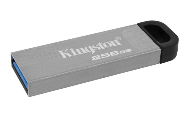 Kingston usb stick DTKN256GB