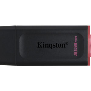 Kingston usb stick DTX256GB - Afbeelding 1