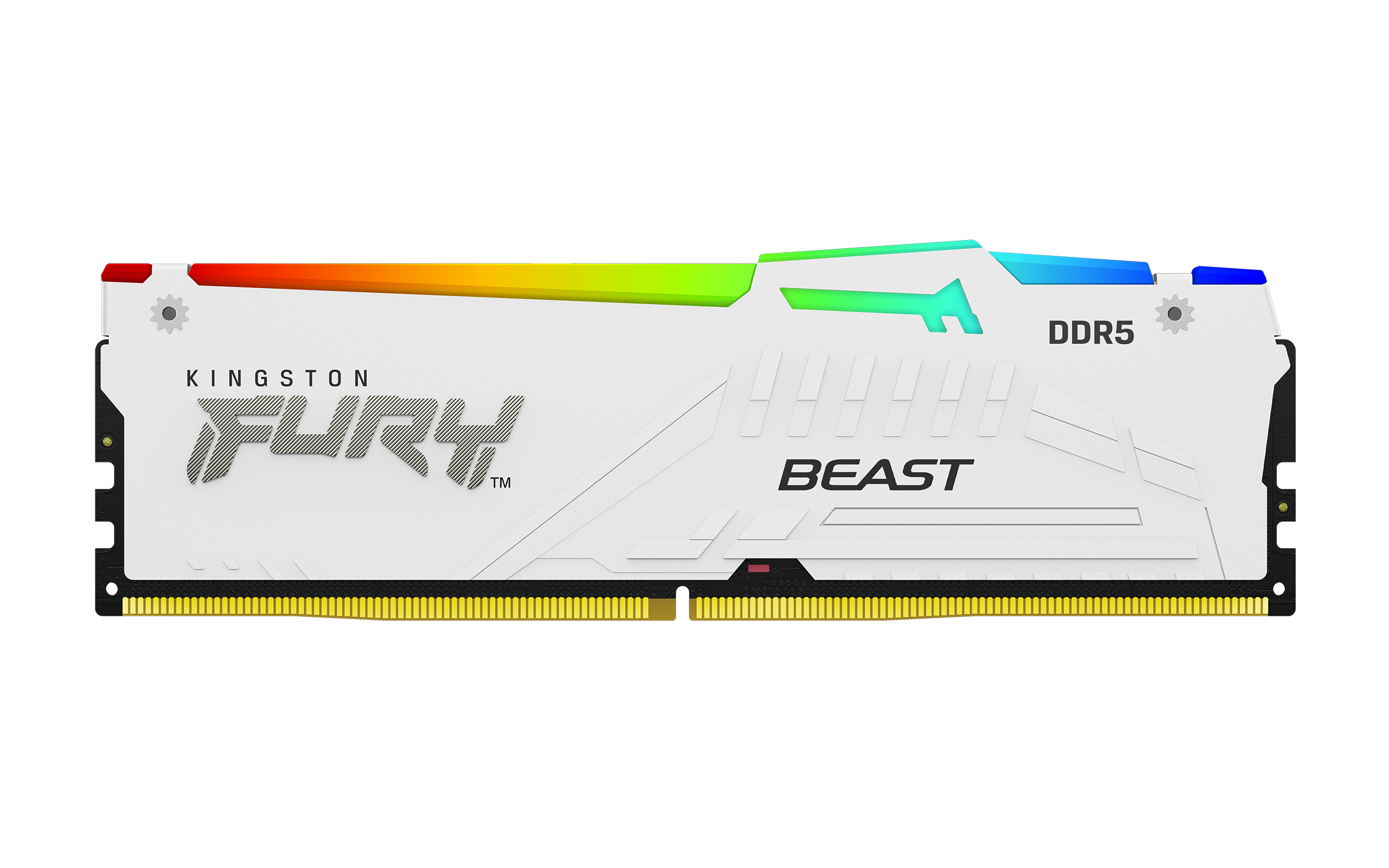Kingston  ram geheugen ddr5 KF560C36BWEA - Afbeelding 3