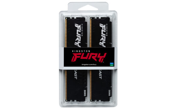 Kingston  ram geheugen ddr5 KF552C36BBEK