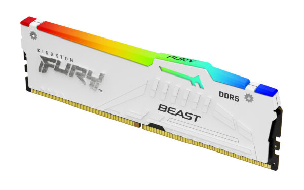 Kingston  ram geheugen ddr5 KF560C36BWEA