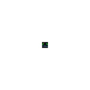 Razer blackwidow v4 qwerty keyboard